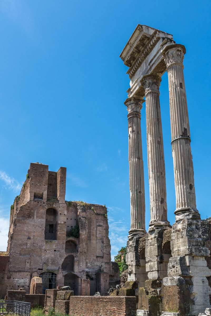 Roman Forum_Temple of Castor and Pollux_DSC3901