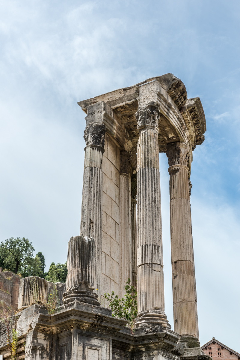 Roman Forum_Temple of Vesta_DSC3853