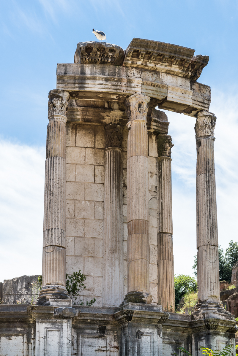 Roman Forum_Temple of Vesta_DSC3899