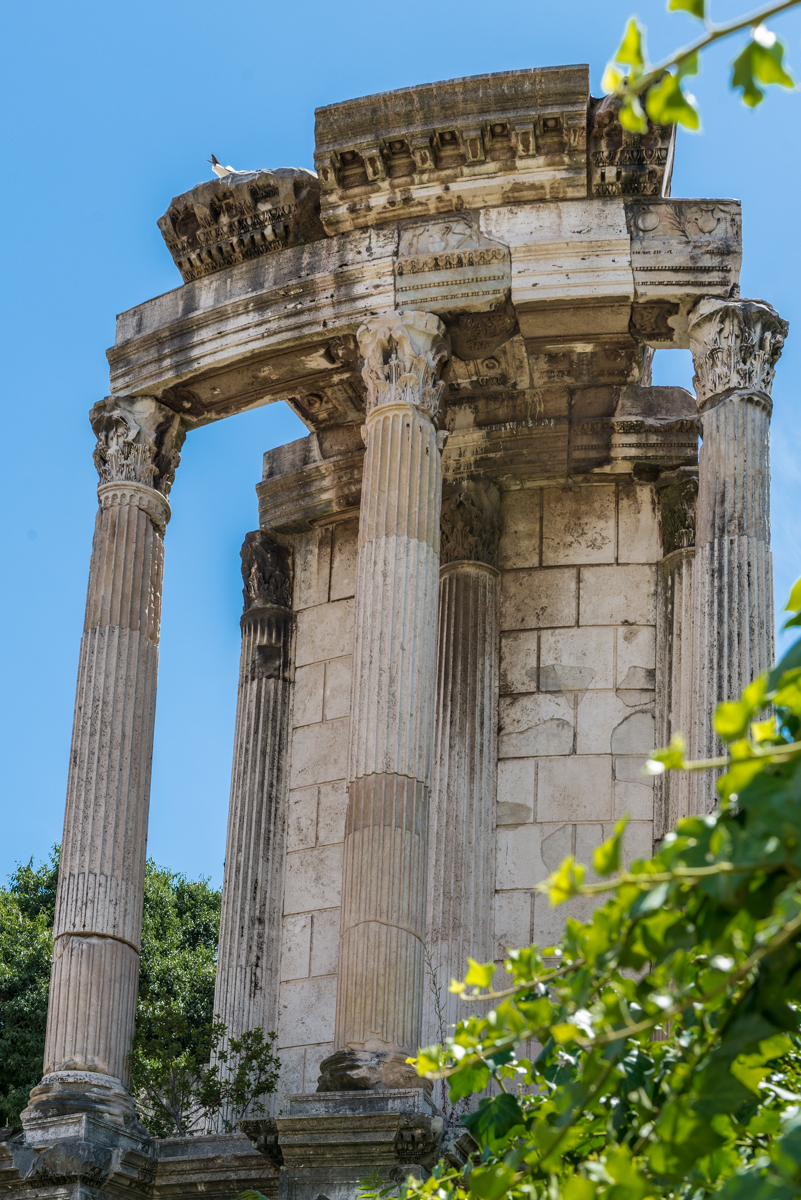 Temple of Vesta_DSC3900