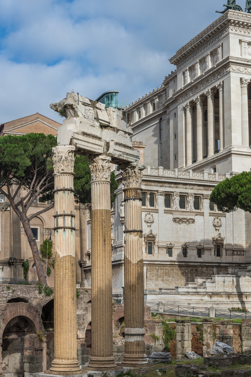 The Forum of Caesar - Temple of Venus Genetrix_DSC4350