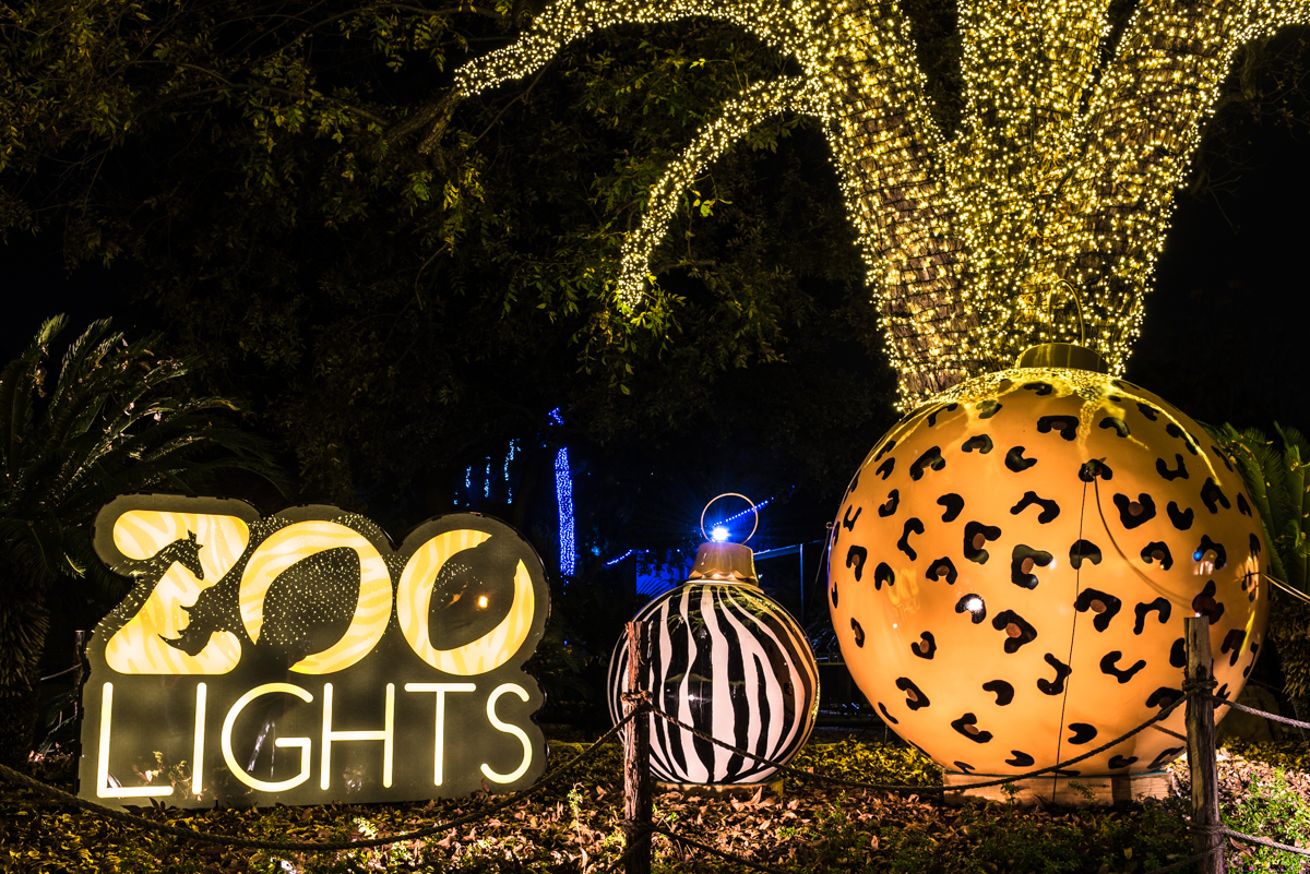 Zoo Lights_7495