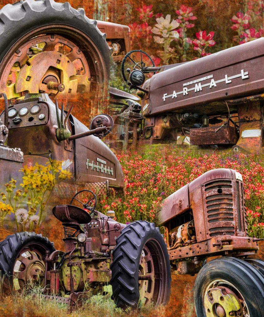 Texas Wildflowers or Tractors