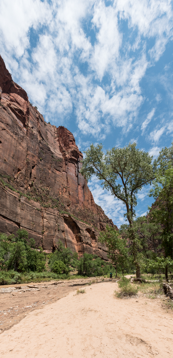 LR v Pano Perspective _Zion National_293