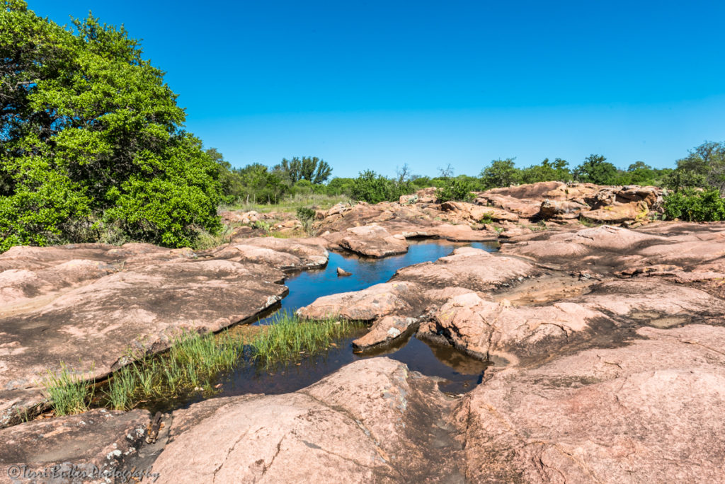 Texas Hill Country Drive – TERRI BUTLER PHOTOGRAPHY