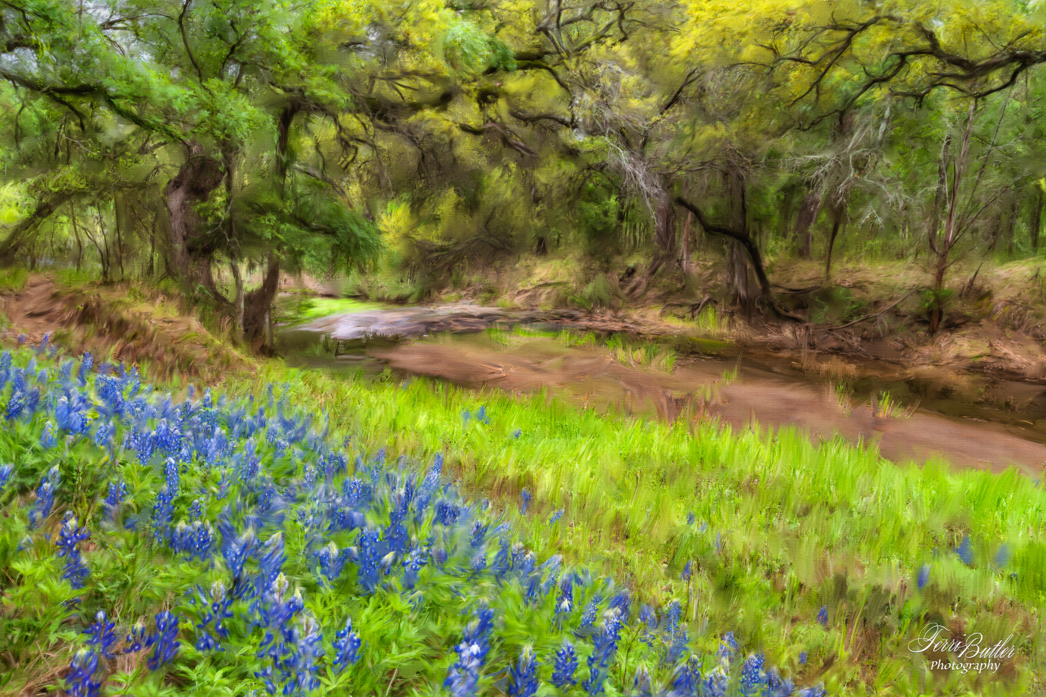 Mixer Brush Clone Painting - Bluebonnets in Texas
