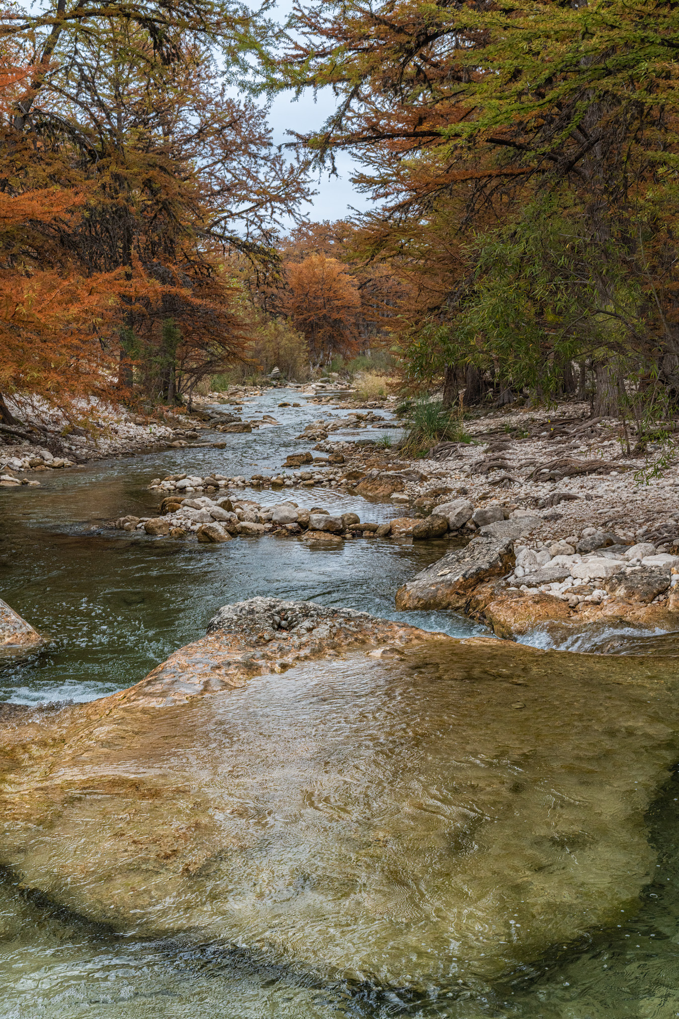 Hunting Fall Colors in Texas